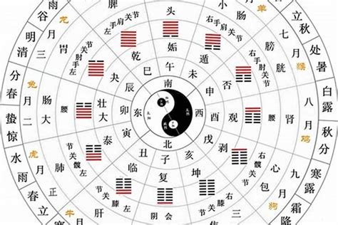 寅五行|十二地支类象详解 – 十二地支阴阳五行属性